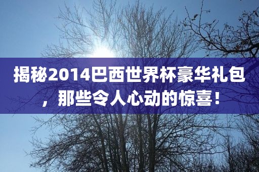 揭秘2014巴西世界杯豪华礼包，那些令人心动的惊喜！洪湖市顺升工程机械租赁有限公司