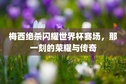 梅西绝杀闪耀世界杯赛场，那一刻的荣耀与传奇洪湖市顺升工程机械租赁有限公司