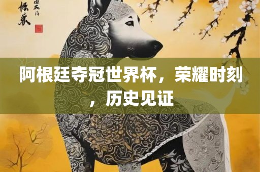 阿根廷夺冠世界杯，荣耀时刻，历史见证