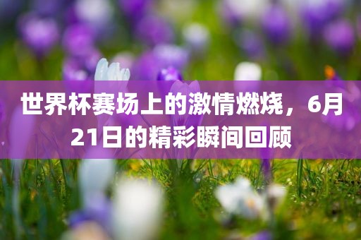 世界杯赛场上的激情燃烧，6月21日的精彩洪湖市顺升工程机械租赁有限公司瞬间回顾