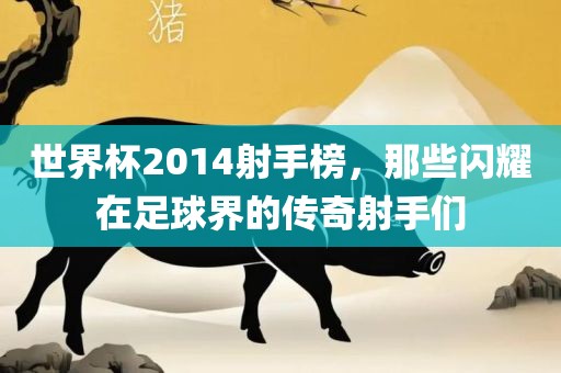世界杯2014射手榜，那些闪耀在足球界的传奇射手们洪湖市顺升工程机械租赁有限公司