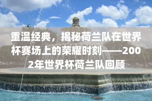 重温经典，揭秘荷兰队在世界杯赛场上的荣耀时刻——2002年世界杯荷兰队回顾
