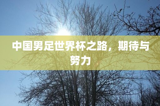 中国男足世界杯之路，期待与努力