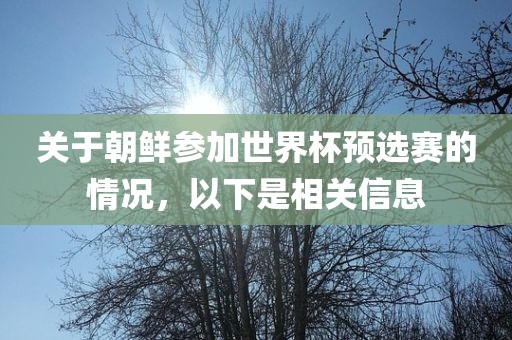 关于朝鲜参加世界杯预选赛的情况，以下是相关信息洪湖市顺升工程机械租赁有限公司