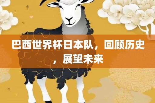 巴西世界杯日本队，回顾历史，展望未来