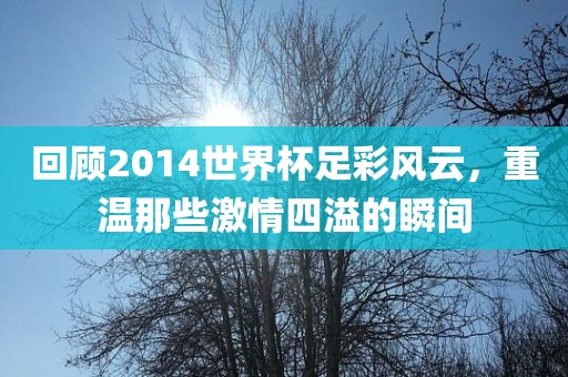 回顾2014世界杯足彩风云，重温那些激情四溢的瞬间