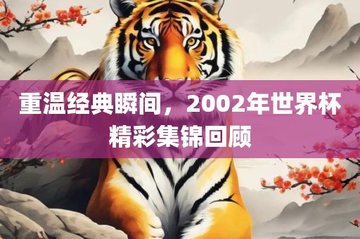 重温经典瞬间，2002年世界杯精彩集锦回顾洪湖市顺升工程机械租赁有限公司