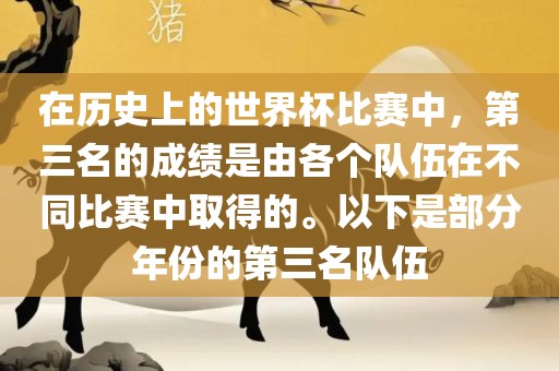 在历史上的世界杯比赛中，第三名的成绩是由各个队伍在不同比赛中取得的。以下是部分年份的第三名队伍