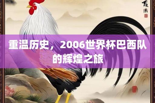 重温历史，2006世界杯巴西队的辉煌之旅洪湖市顺升工程机械租赁有限公司