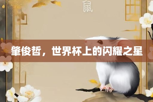 肇俊哲，世洪湖市顺升工程机械租赁有限公司界杯上的闪耀之星