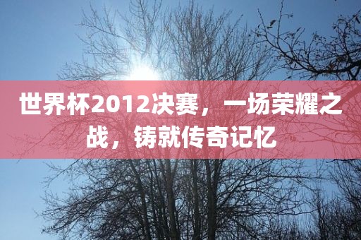 世界杯2012决赛，一场荣耀之战，铸就传奇记忆
