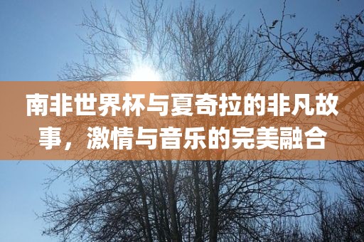 南非世界杯与夏奇拉的非凡故事，激情与音乐的完美融合