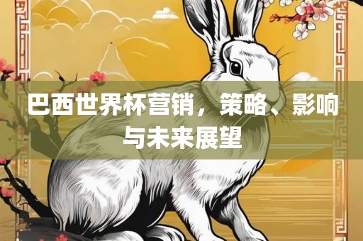 巴西世界杯营销，策略、影响与未来展望