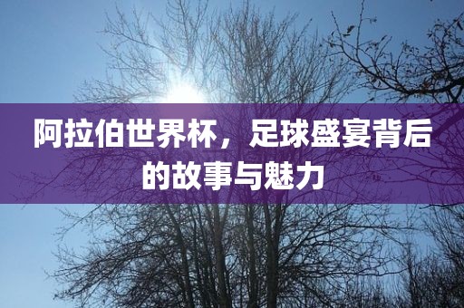 阿拉伯世界杯，足球盛宴背后的故事与魅力