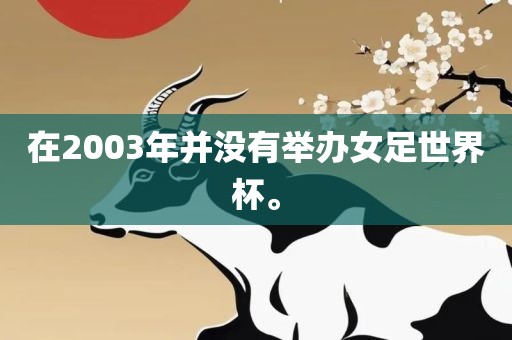 在2003年并没有举办女足世界杯。洪湖市顺升工程机械租赁有限公司