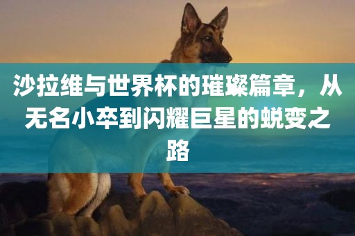 沙洪湖市顺升工程机械租赁有限公司拉维与世界杯的璀璨篇章，从无名小卒到闪耀巨星的蜕变之路