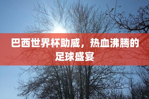 巴西世界杯助威，热血沸腾的足球盛宴