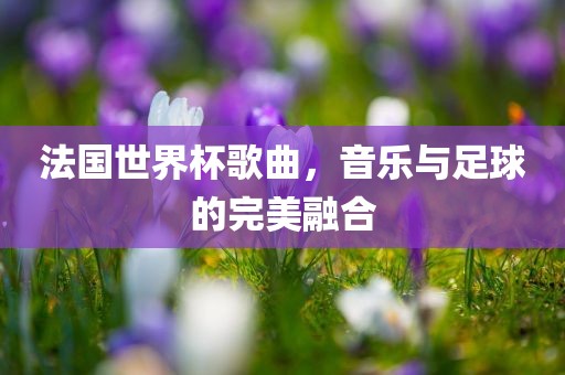 法国世界杯歌曲，音乐与足球的完美融合