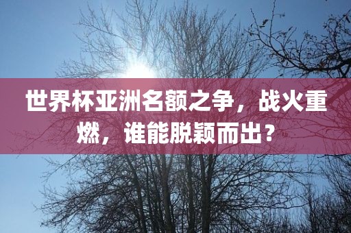世界杯亚洲名额之争，战火重燃，谁能脱颖而出？洪湖市顺升工程机械租赁有限公司