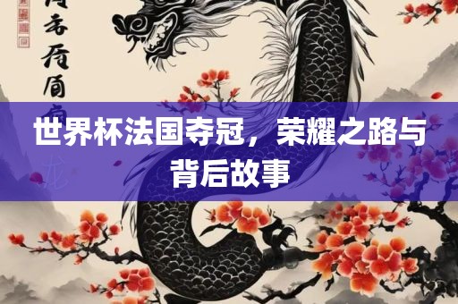 世界杯法国夺冠，荣耀之路与背后故事