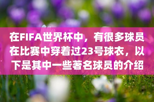 抖音热搜 第13页