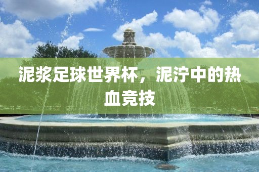 泥浆足球世界杯，泥泞中的热血竞技洪湖市顺升工程机械租赁有限公司