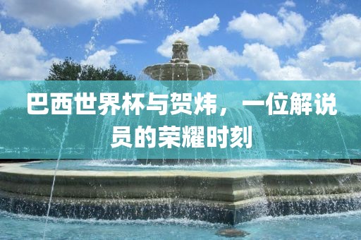 巴西世界杯与贺炜，一位解说员的荣耀时刻洪湖市顺升工程机械租赁有限公司