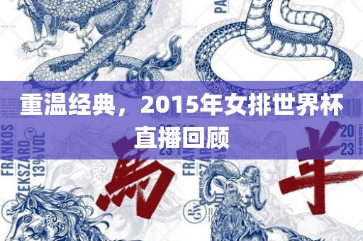 重温经典，2015年女排世界杯直播回顾洪湖市顺升工程机械租赁有限公司