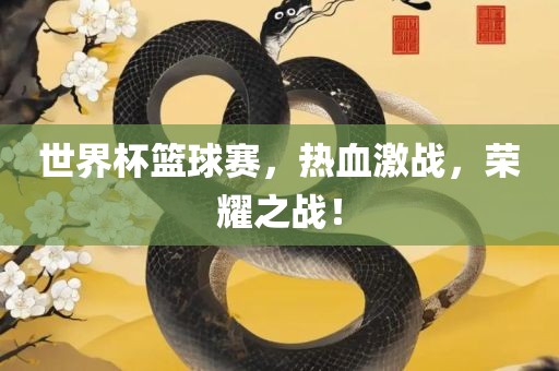 世界杯篮球赛，热血激战，荣耀之战！