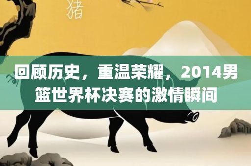 回顾历史，重温荣耀，2014男篮世界杯决赛的激情瞬间