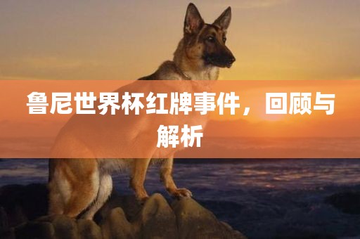 鲁尼世界杯红牌事件，回顾与解析