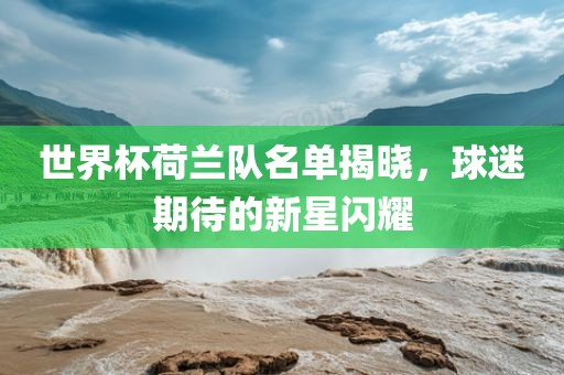 世界杯荷兰队名单揭晓，球迷期待的新星闪耀洪湖市顺升工程机械租赁有限公司