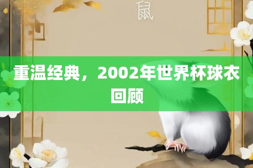 重温经典，2002年世界杯球衣回顾