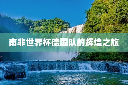 南非世界杯德国队的辉煌之旅