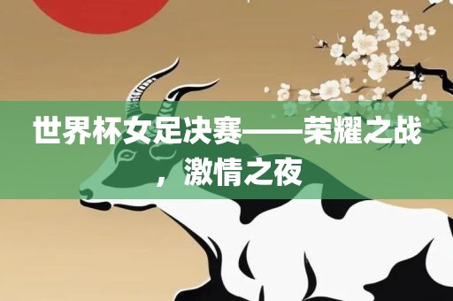 世界杯女足决赛——荣耀之战，激情之夜