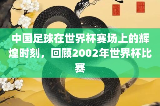 中国足球在世界杯赛场上的辉煌时刻，回顾2002年世界杯比赛