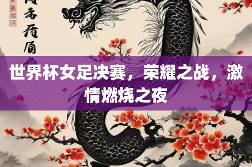 世界杯女足决赛，荣耀之战，激情燃烧之夜