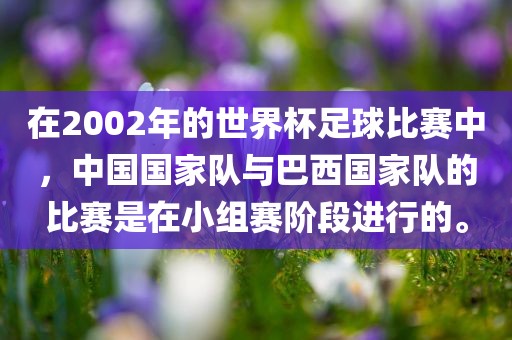 在2002年的世界杯足球比赛中，中国国家队与巴西国家队的比赛是在小组赛阶段进行的。