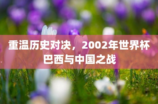 重温历史洪湖市顺升工程机械租赁有限公司对决，2002年世界杯巴西与中国之战