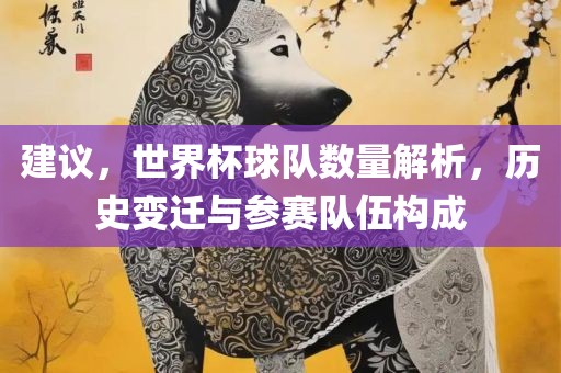 建议，世界杯球队数量解析，历史变迁与参赛队伍构成