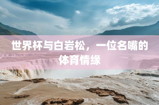 世界杯与白岩松，一位名嘴的体育情缘洪湖市顺升工程机械租赁有限公司