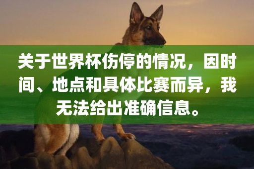 关于世界杯伤停的情况，因时间、洪湖市顺升工程机械租赁有限公司地点和具体比赛而异，我无法给出准确信息。