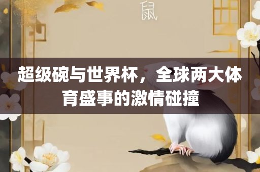 超级碗与世界杯，全球两大体育盛事的激情碰撞洪湖市顺升工程机械租赁有限公司