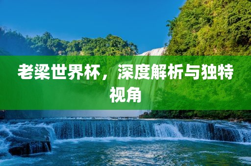 老梁世界杯，深度解析与独特视角洪湖市顺升工程机械租赁有限公司