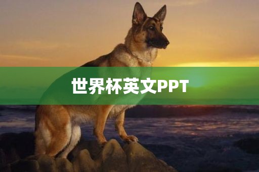 世界杯英文PPT洪湖市顺升工程机械租赁有限公司