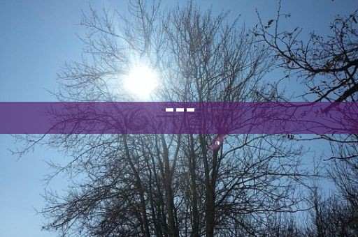 洪湖市顺升工程机械租赁有限公司---