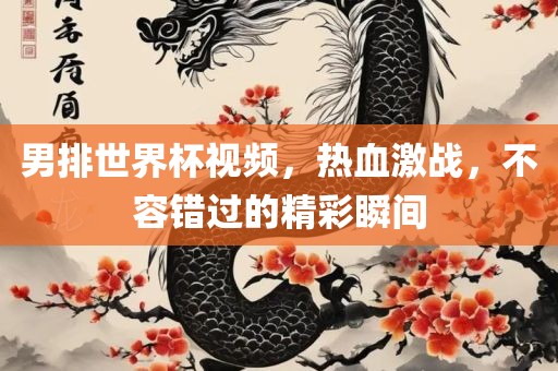 男排世界杯视频，热血激战洪湖市顺升工程机械租赁有限公司，不容错过的精彩瞬间