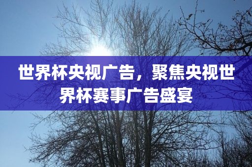 世界杯央视广告，聚焦央视世界杯赛事广告盛宴洪湖市顺升工程机械租赁有限公司