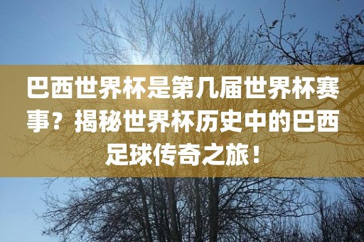 巴西世界杯是第几届世界杯赛事？揭秘世界杯历史中的巴西足球传奇之旅！