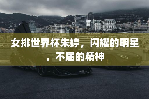 女排世界杯朱婷，闪耀的明星，不屈的精神洪湖市顺升工程机械租赁有限公司